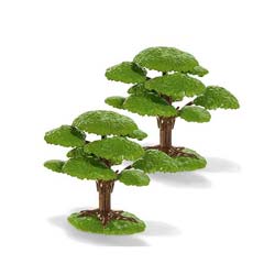 Stromy, kvety, rastliny