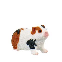 Zvieratá – rôzne